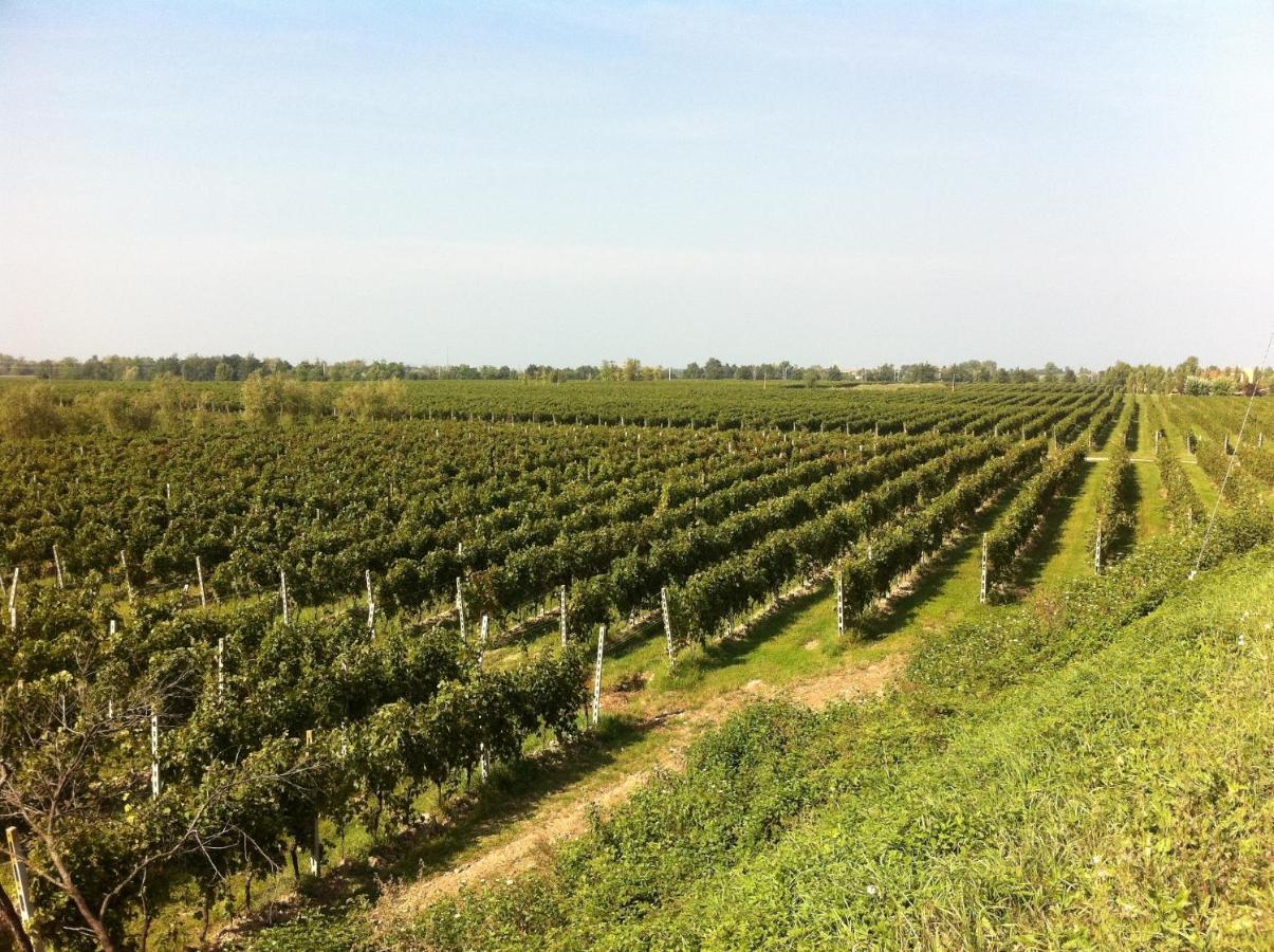 Cascina Tabachera X10 Country House Sirmione Garda Lake Pozzolengo Cameră foto